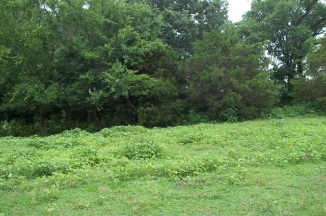4344 Lunns Store Road Lewisburg, TN 37091 - Photo 2 of 12 Gallery Image 2