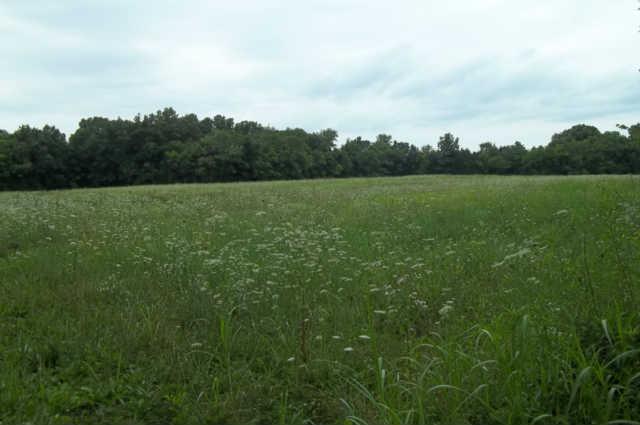 4344 Lunns Store Road Lewisburg, TN 37091 - Photo 3 of 12 Gallery Image 3