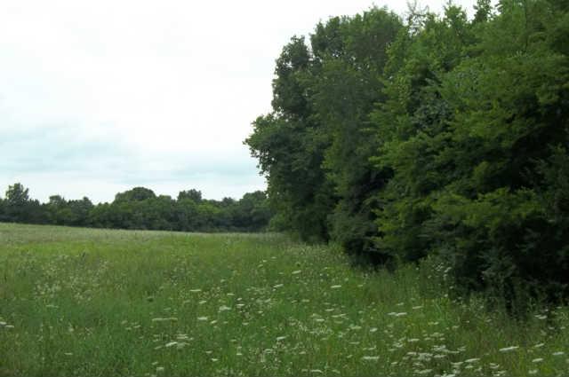 4344 Lunns Store Road Lewisburg, TN 37091 - Photo 4 of 12 Gallery Image 4
