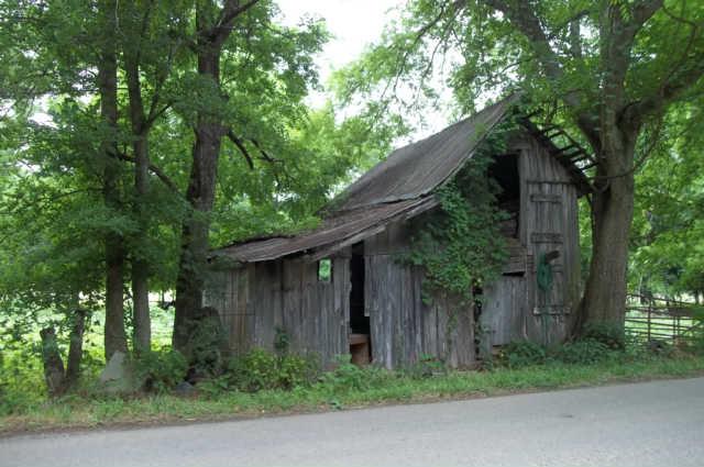 4344 Lunns Store Road Lewisburg, TN 37091 - Photo 7 of 12 Gallery Image 7