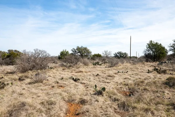 a view of a dry field with trees in the background