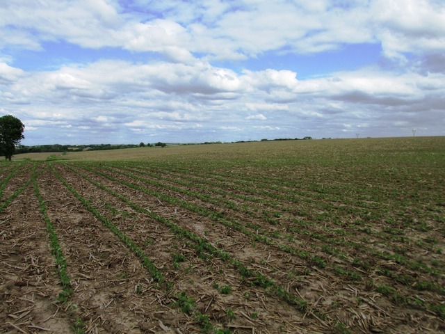0 West Woosung Road Dixon, IL 61091 - Photo 4 of 5