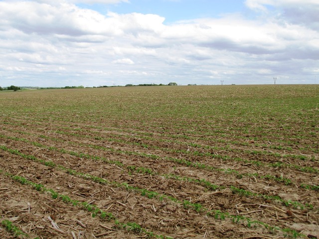 0 West Woosung Road Dixon, IL 61091 - Photo 5 of 5