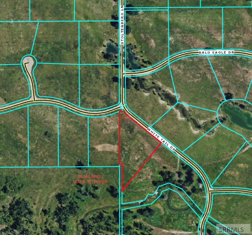 Tbd White Tail Drive Swan Valley, ID 83449 - Photo 13 of 14