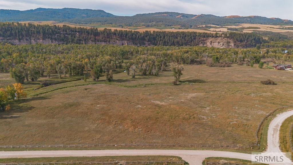 Tbd White Tail Drive Swan Valley, ID 83449 - Photo 6 of 14
