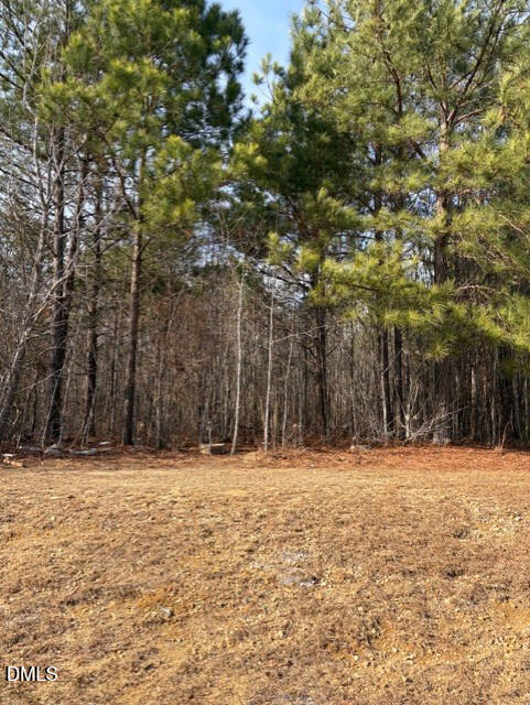 206 Hope Street Erwin, NC 28339 - Photo 10 of 10
