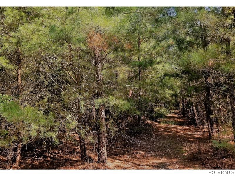 0 South Ivondale Road Warsaw, VA 22572 - Photo 16 of 50 Gallery Image 16