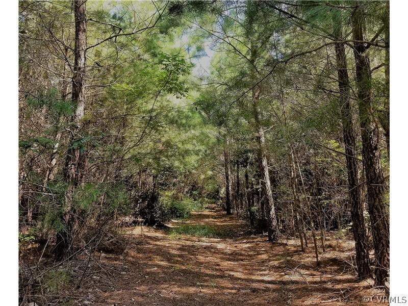 0 South Ivondale Road Warsaw, VA 22572 - Photo 17 of 50 Gallery Image 17