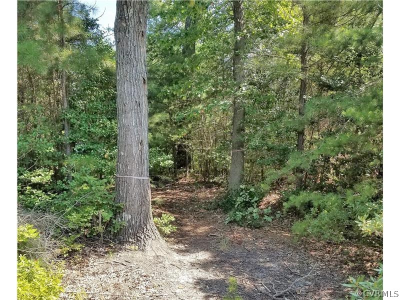 0 South Ivondale Road Warsaw, VA 22572 - Photo 31 of 50 Gallery Image 31