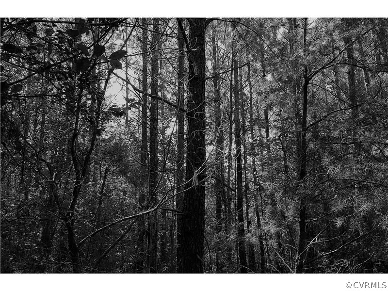 0 South Ivondale Road Warsaw, VA 22572 - Photo 38 of 50 Gallery Image 38