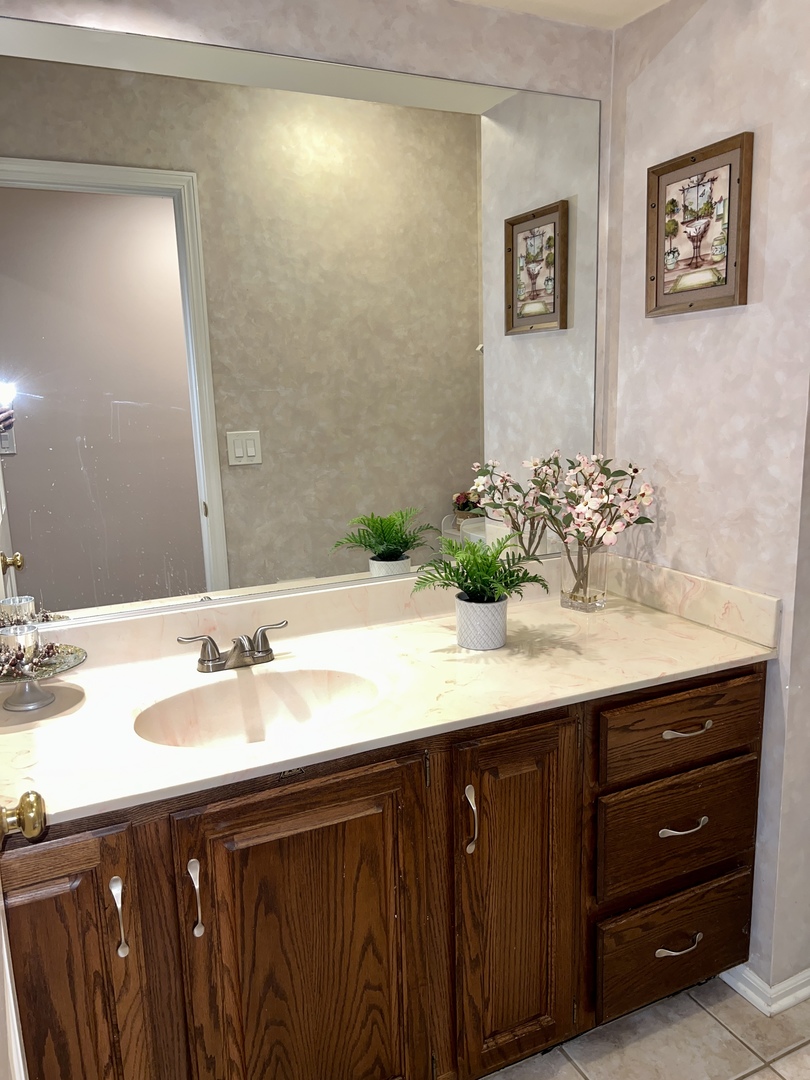 815 Suffield Square Lincolnshire, IL 60069 - Photo 17 of 27 a bathroom with a sink and a mirror