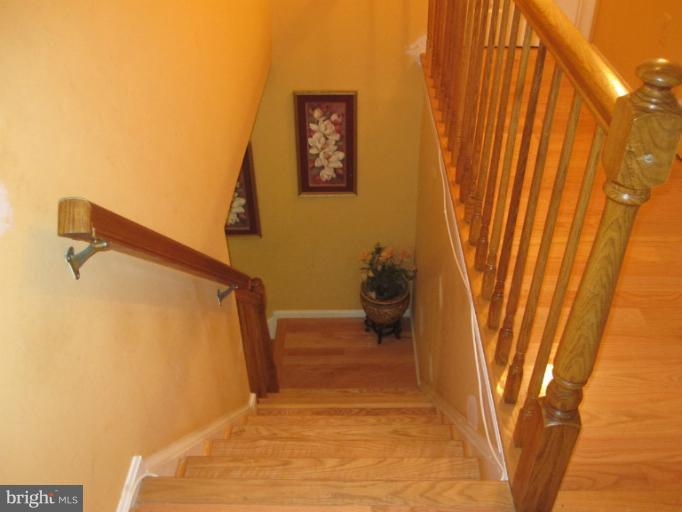 Interior (General)