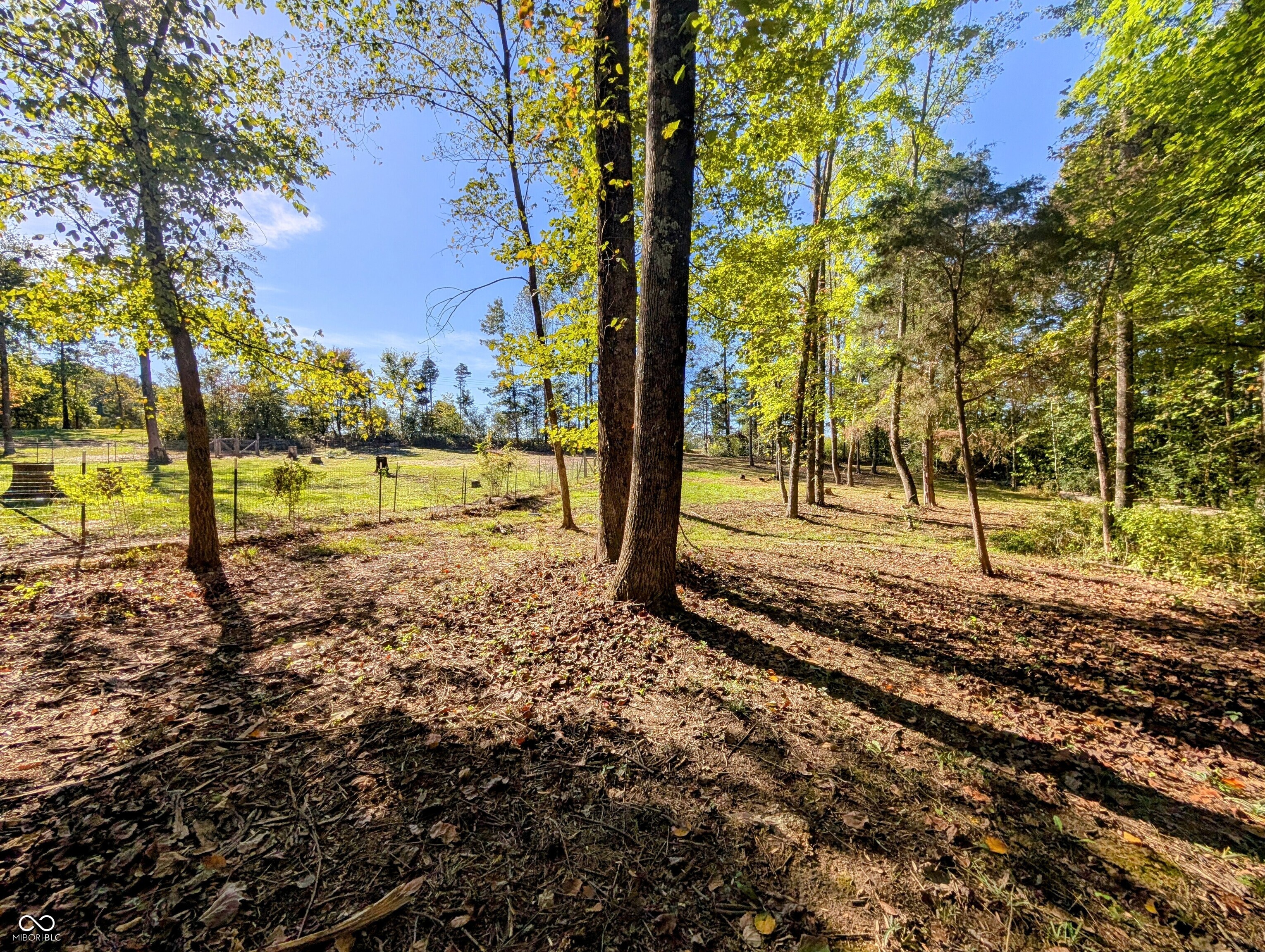 7350 South Becks Grove Road Freetown, IN 47235 - Photo 11 of 98