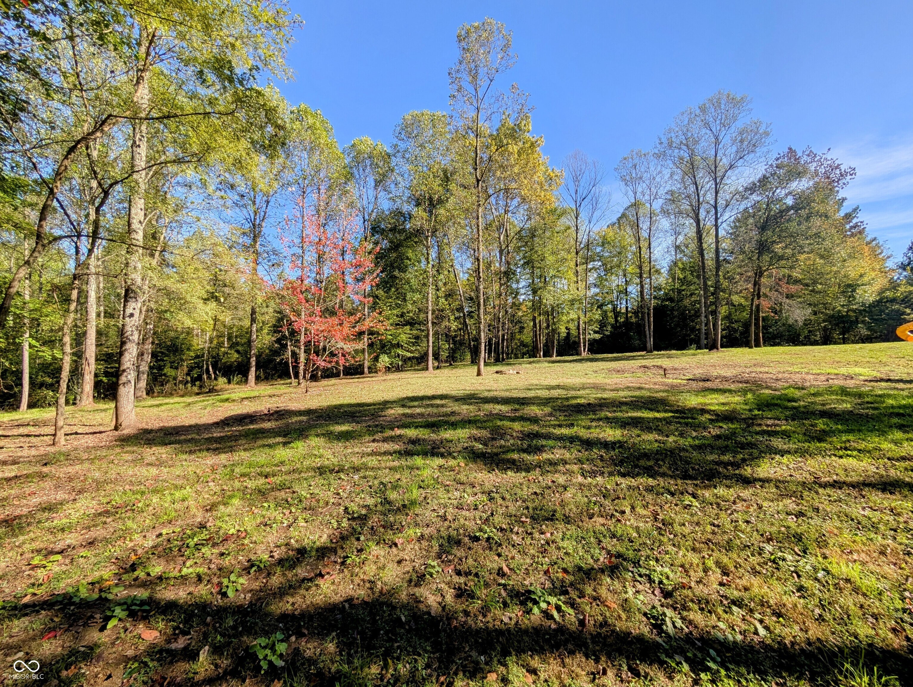 7350 South Becks Grove Road Freetown, IN 47235 - Photo 14 of 98