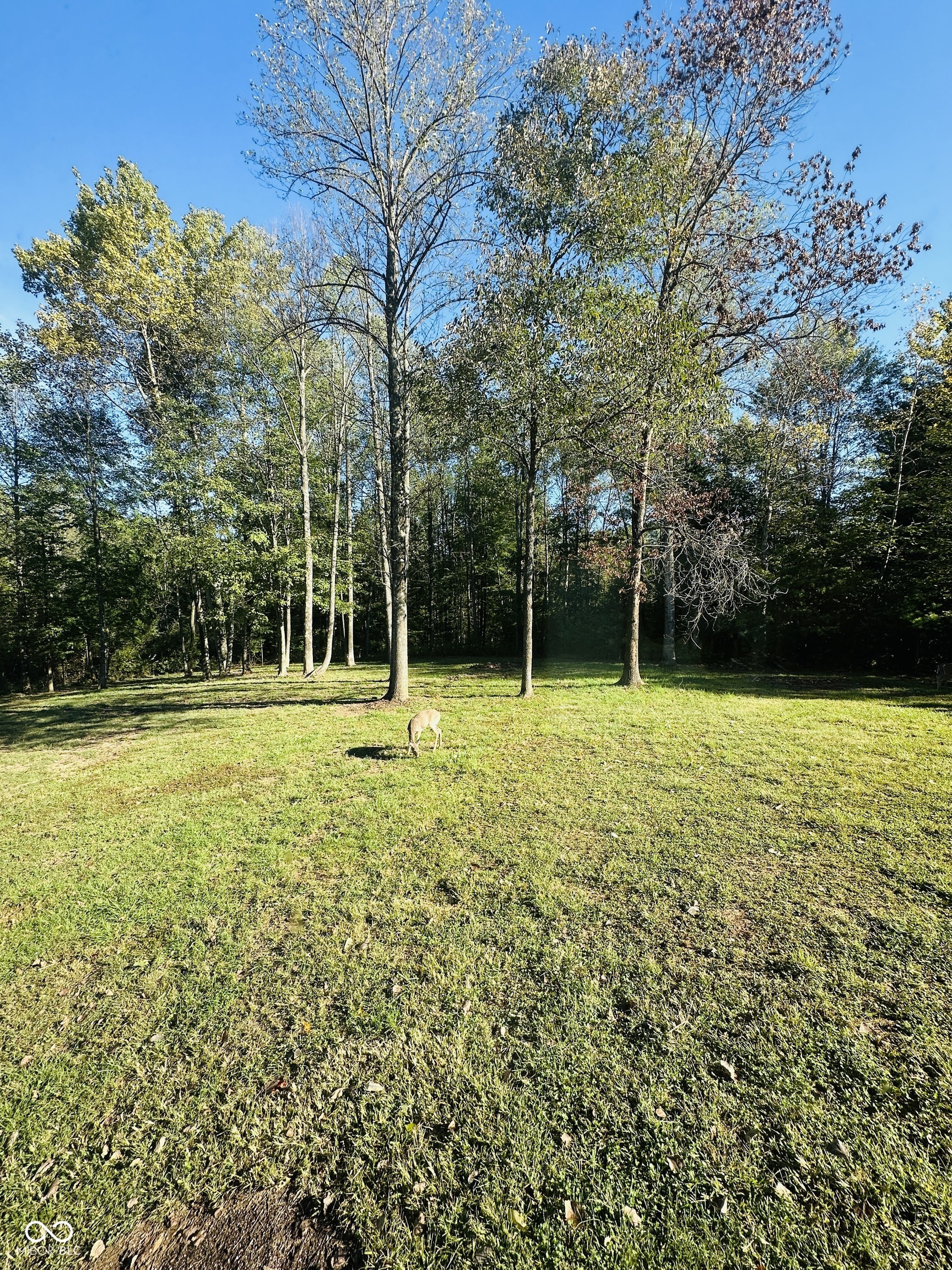 7350 South Becks Grove Road Freetown, IN 47235 - Photo 93 of 98