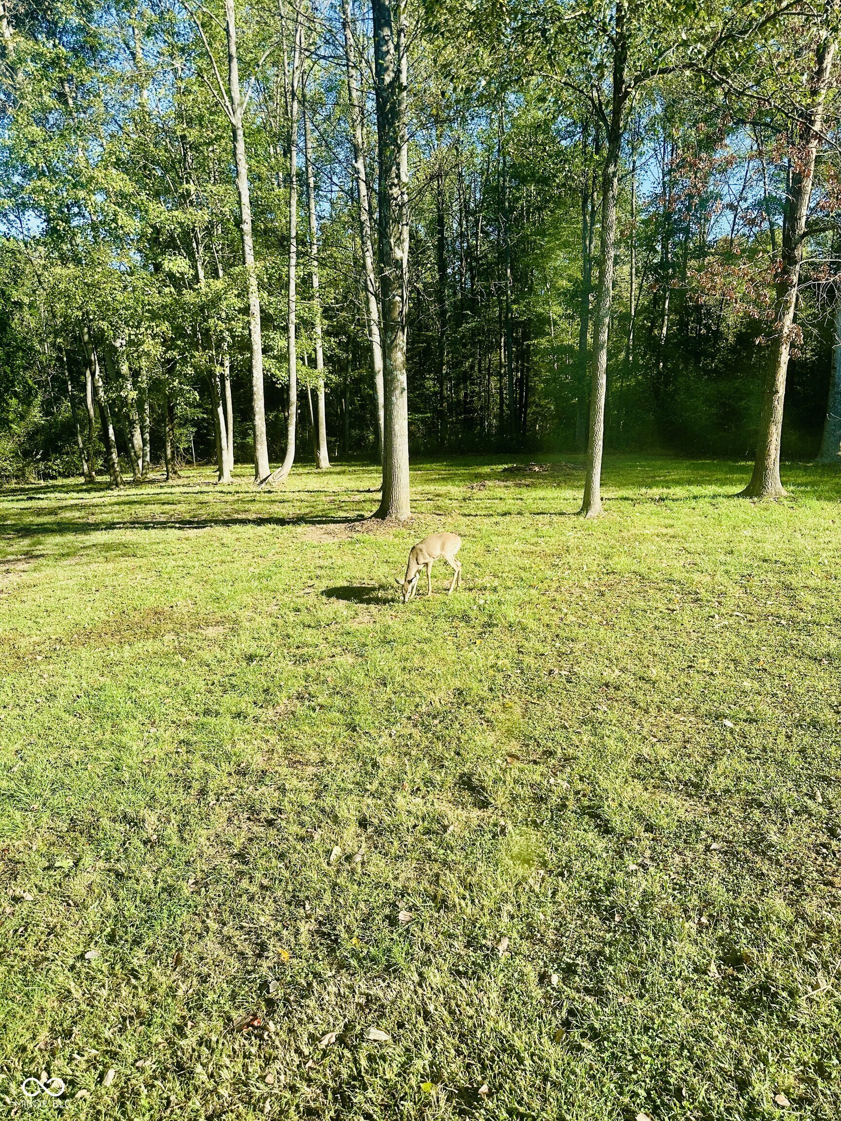 7350 South Becks Grove Road Freetown, IN 47235 - Photo 94 of 98