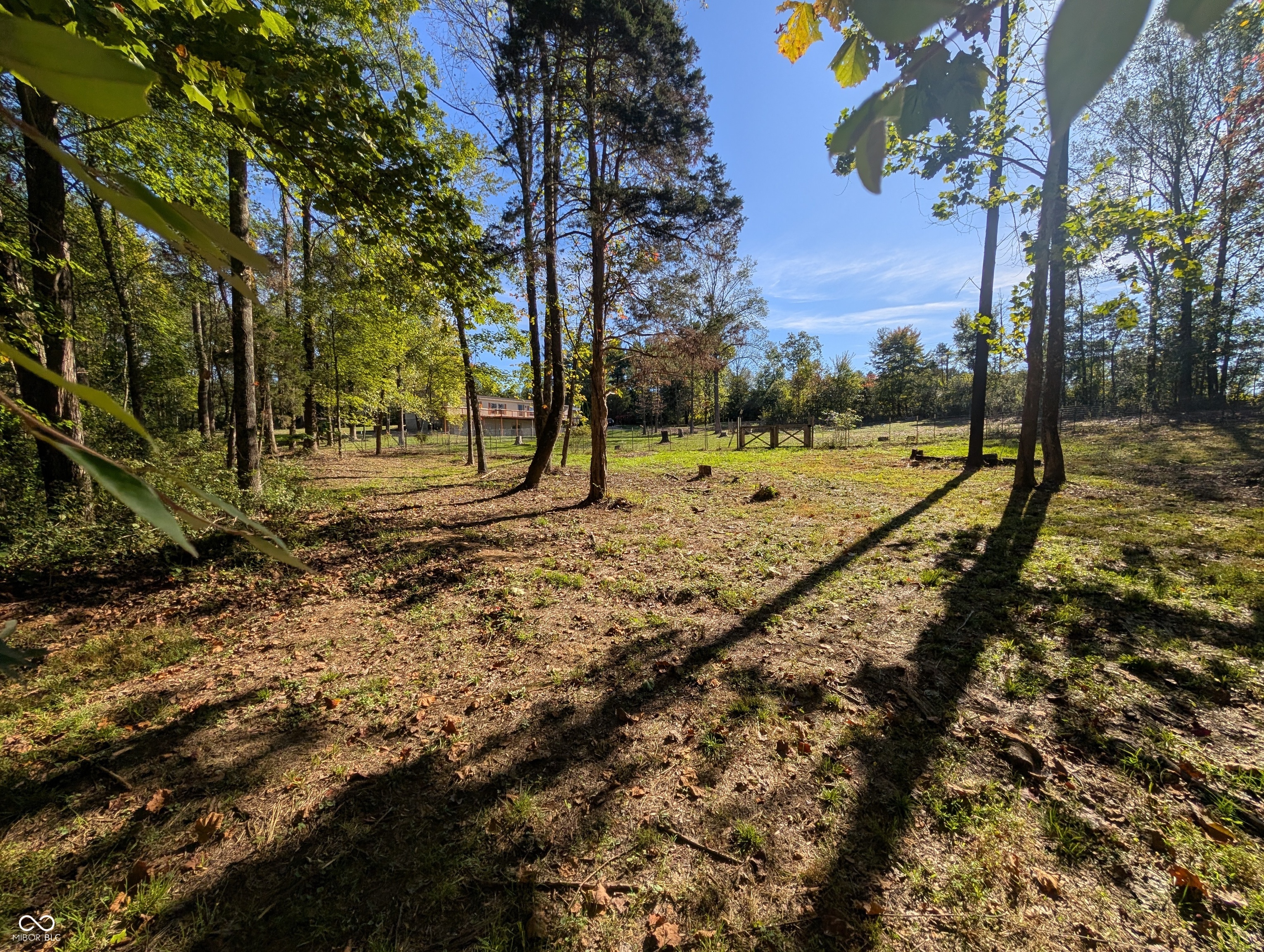 7350 South Becks Grove Road Freetown, IN 47235 - Photo 10 of 98