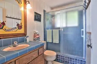 a bathroom with a granite countertop sink toilet and shower