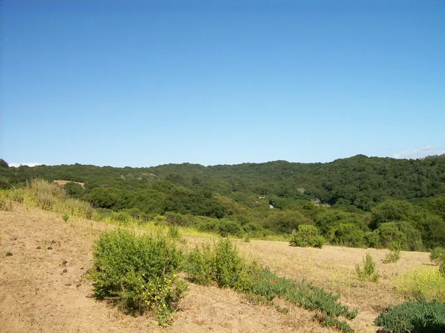 a view of a lake view