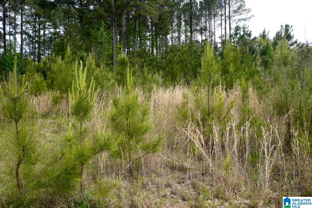 522 Woodbridge Trace, Unit 55 Chelsea, AL 35043 - Photo 6 of 22