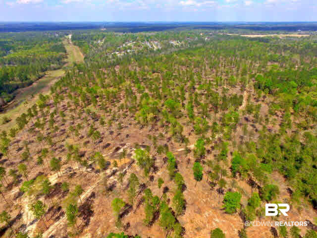 0 South Grand Bay Wilmer Road Wilmer, AL 36587 - Photo 17 of 18