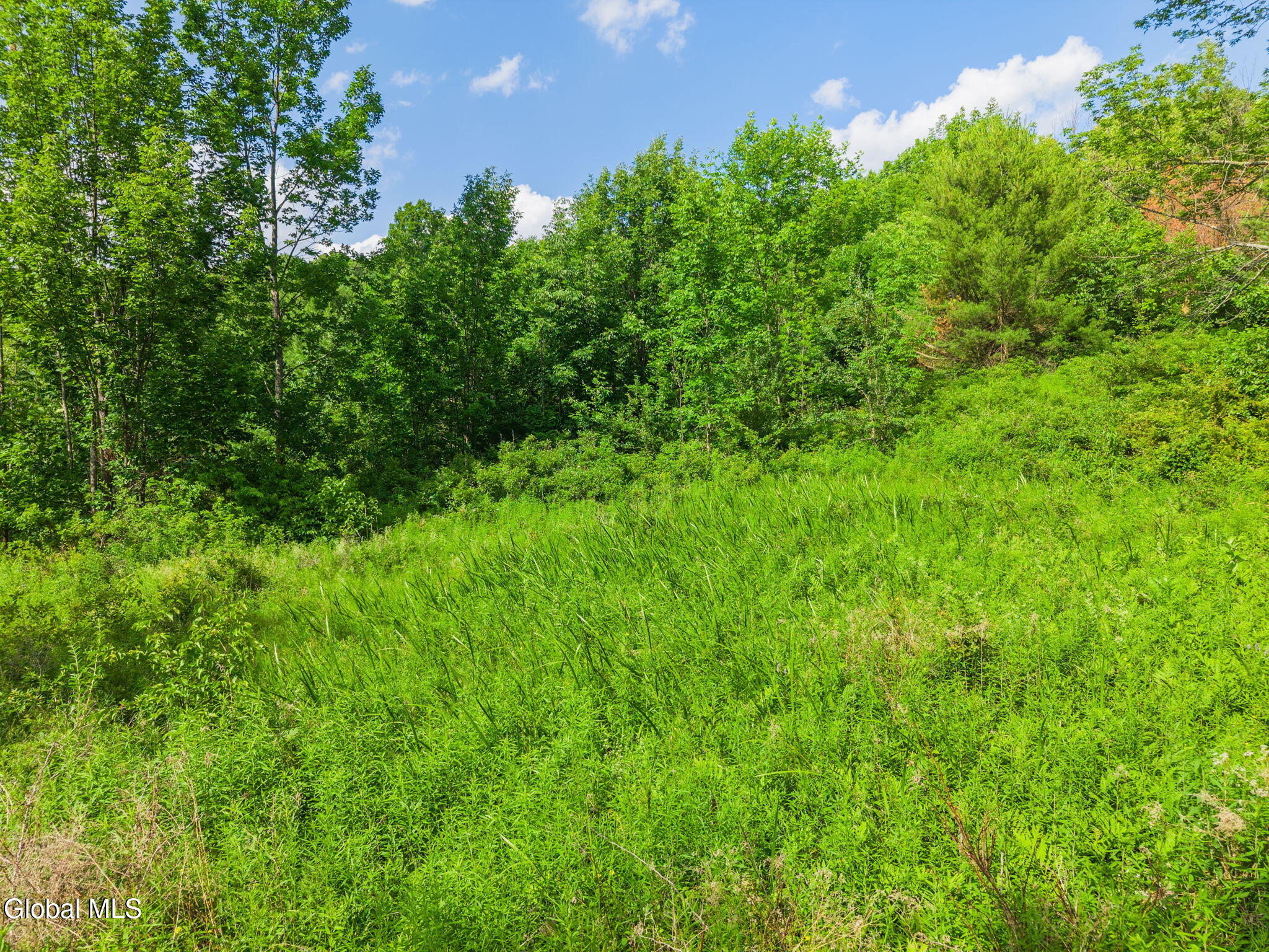 0 Debar Hill Road Middleburgh, NY 12122 - Photo 10 of 18 16-DebarHillRd_16