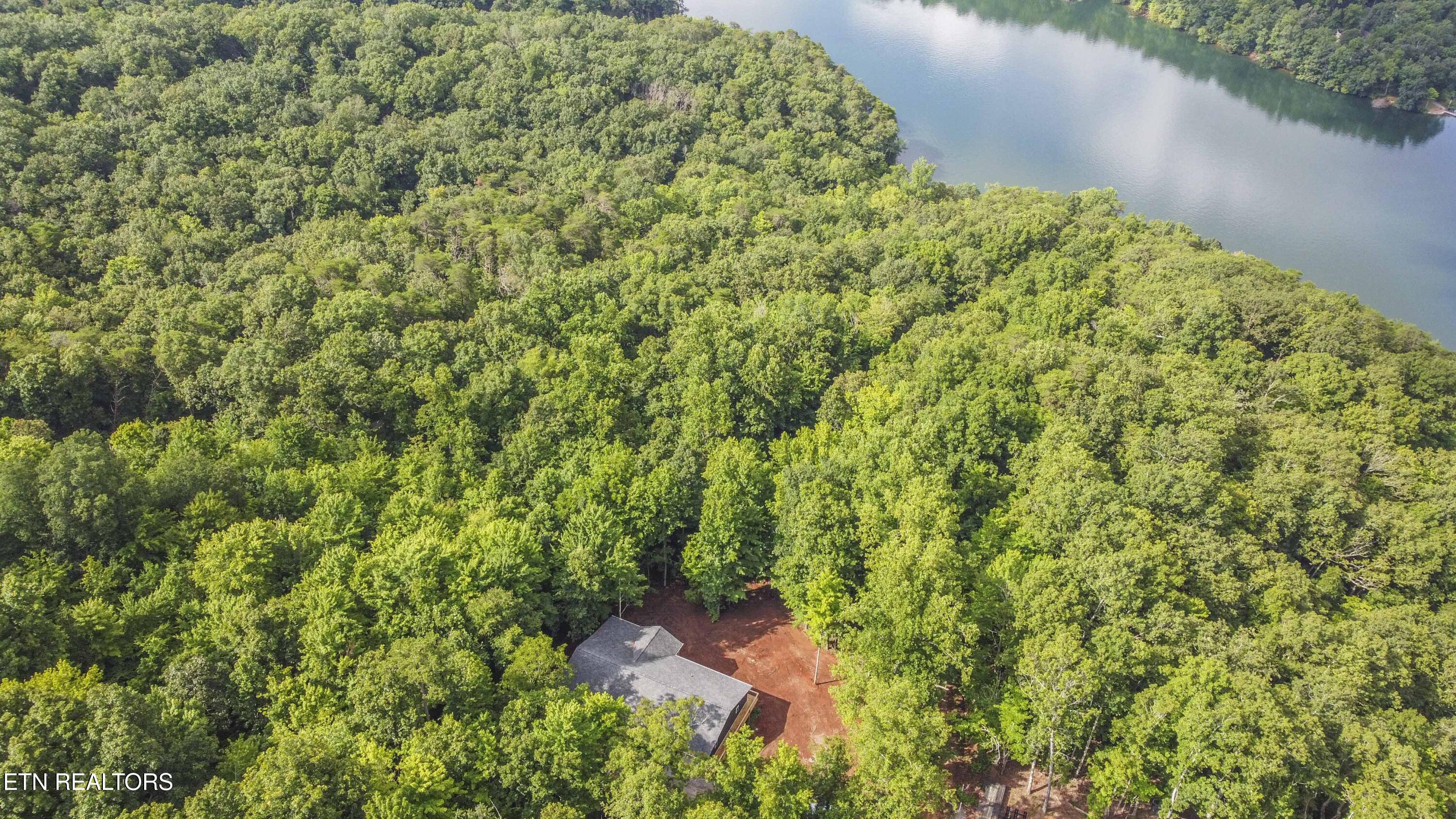 185 Oak Tree Road Spring City, TN 37381 - Photo 2 of 18 drone 2_1