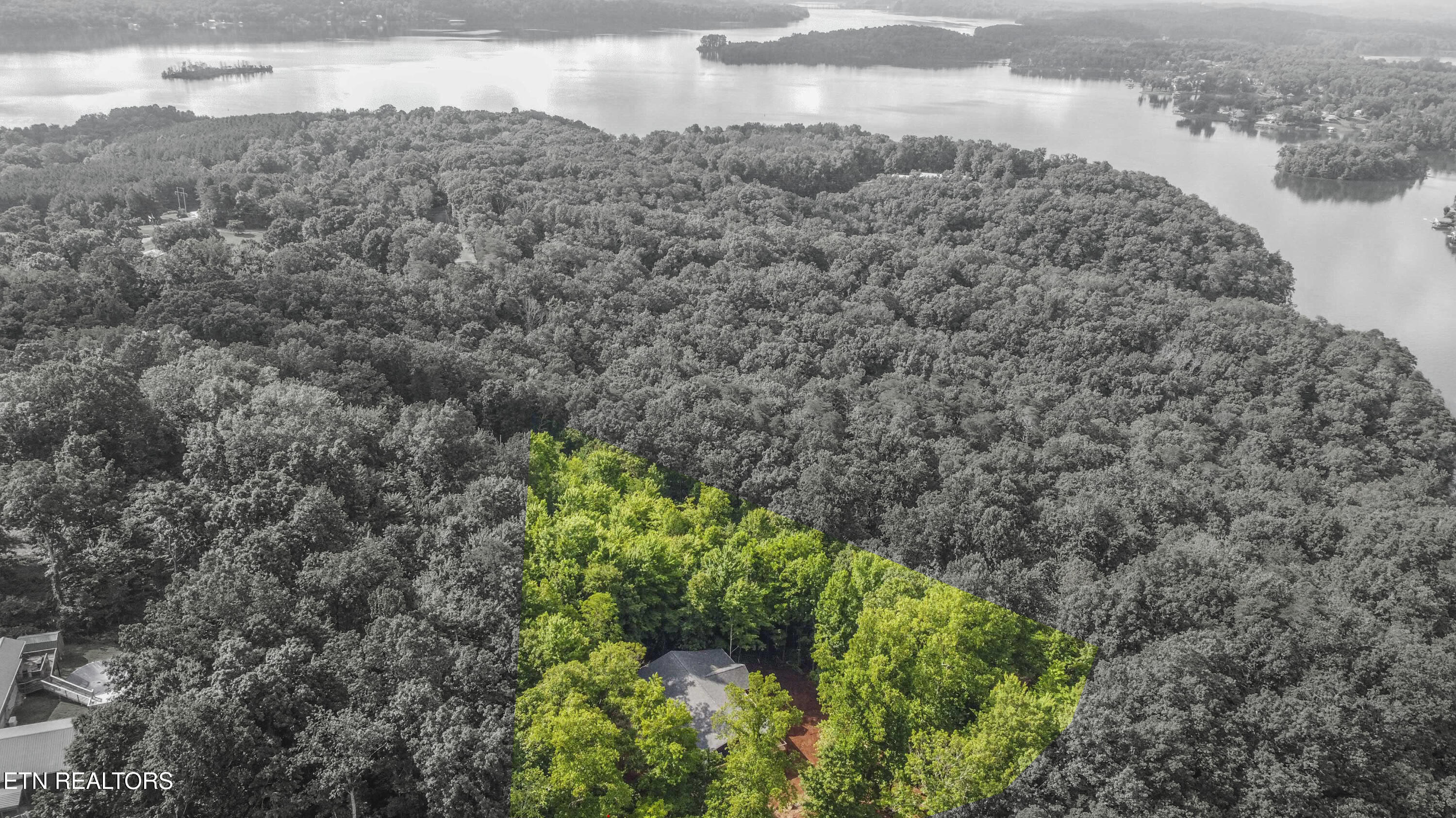 185 Oak Tree Road Spring City, TN 37381 - Photo 3 of 18 drone 1_1 copy