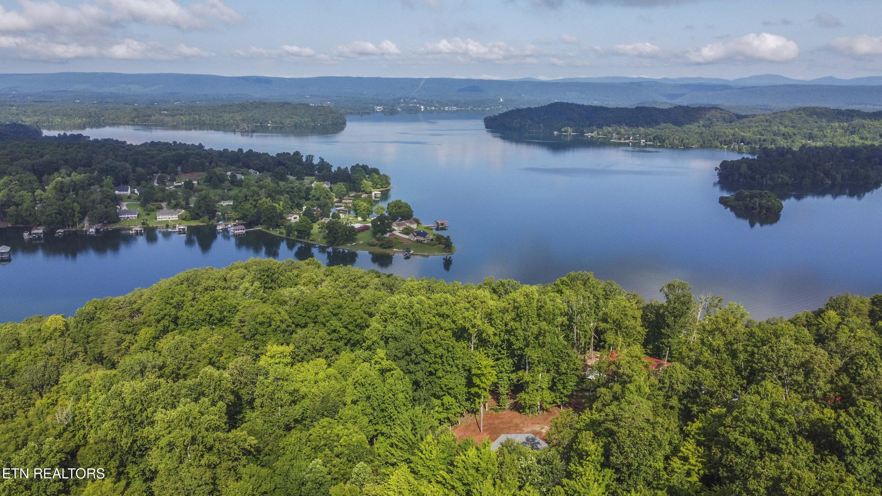 185 Oak Tree Road Spring City, TN 37381 - Photo 4 of 18 drone 4_1