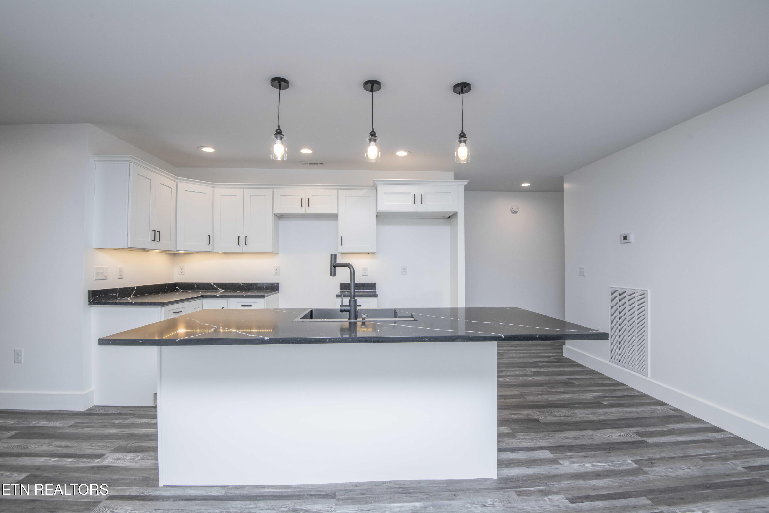 185 Oak Tree Road Spring City, TN 37381 - Photo 9 of 18 kitchen 5_1