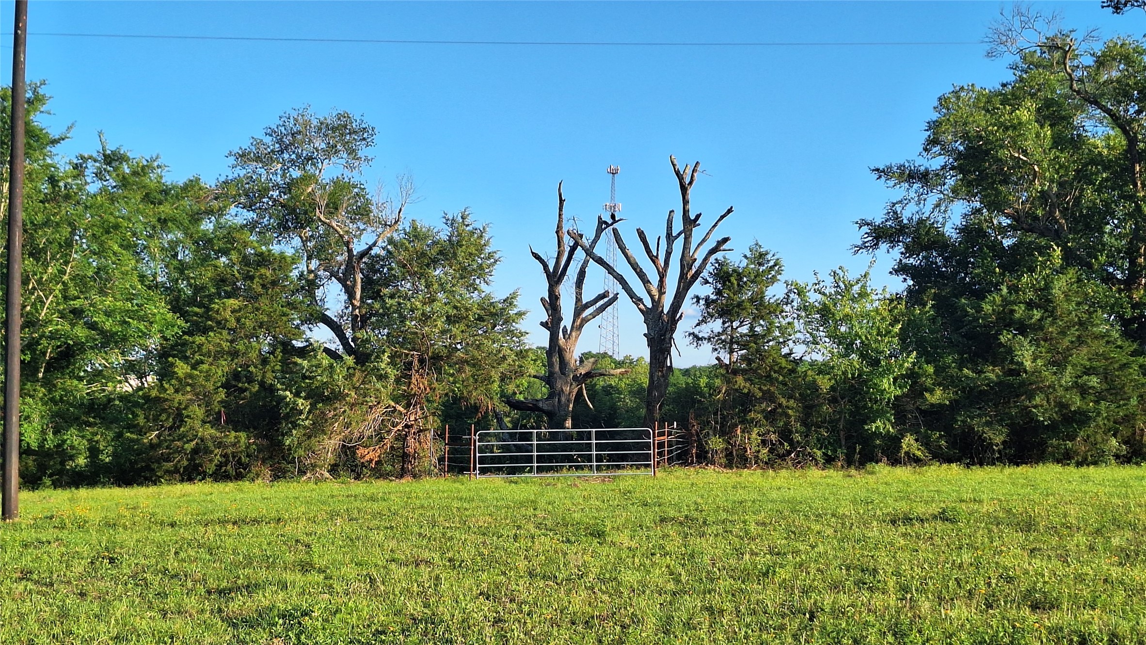 18155 Wellman Road Washington, TX 77880 - Photo 2 of 14 Expansive green field featuring a metal gate and mature trees