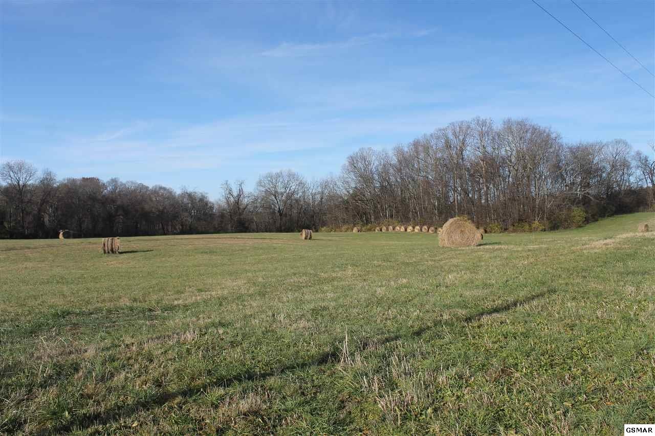 1232 Moore Road Dandridge, TN 37725 - Photo 10 of 10