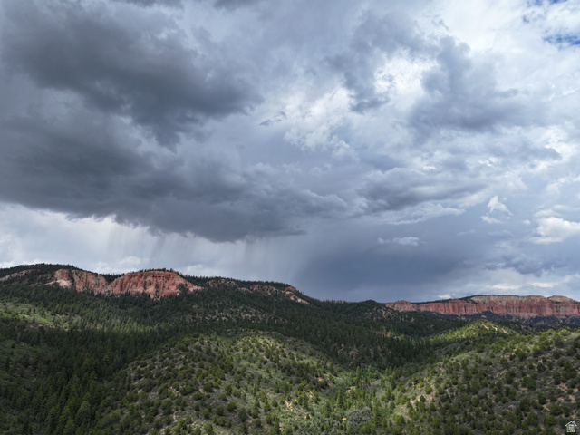700 West Gravel Road North Kanab, UT 84741 - Photo 3 of 63 Scenery featuring a forested mountain landscape with red rock formations under a cloudy sky