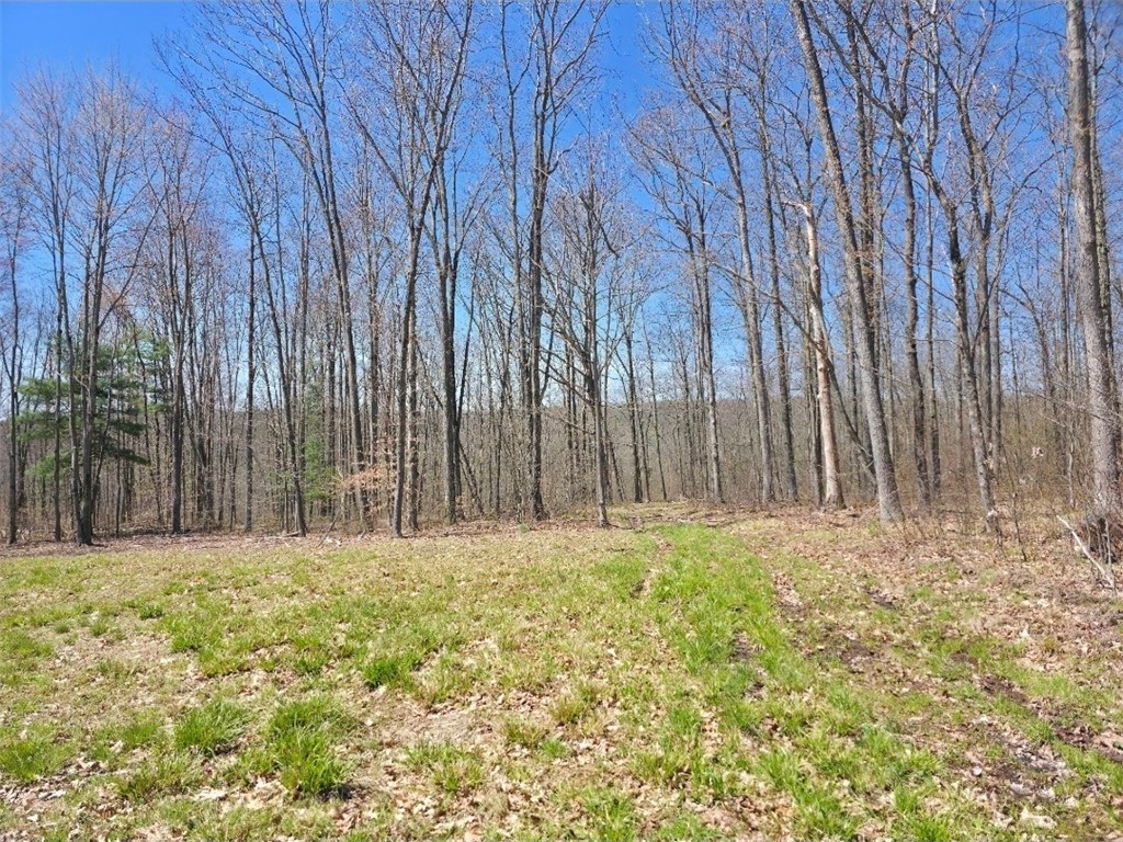 0 Mead Road Pine Valley, NY 14872 - Photo 11 of 15