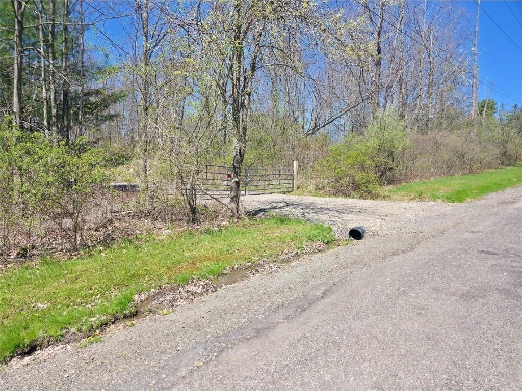 0 Mead Road Pine Valley, NY 14872 - Photo 15 of 15
