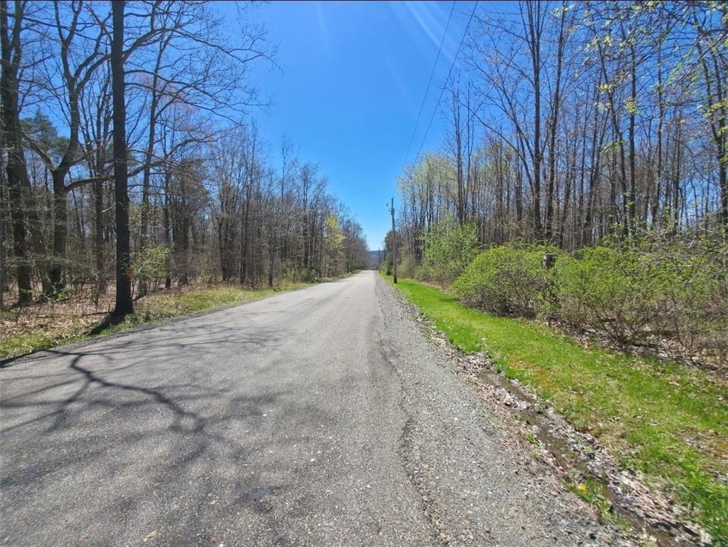 0 Mead Road Pine Valley, NY 14872 - Photo 3 of 15