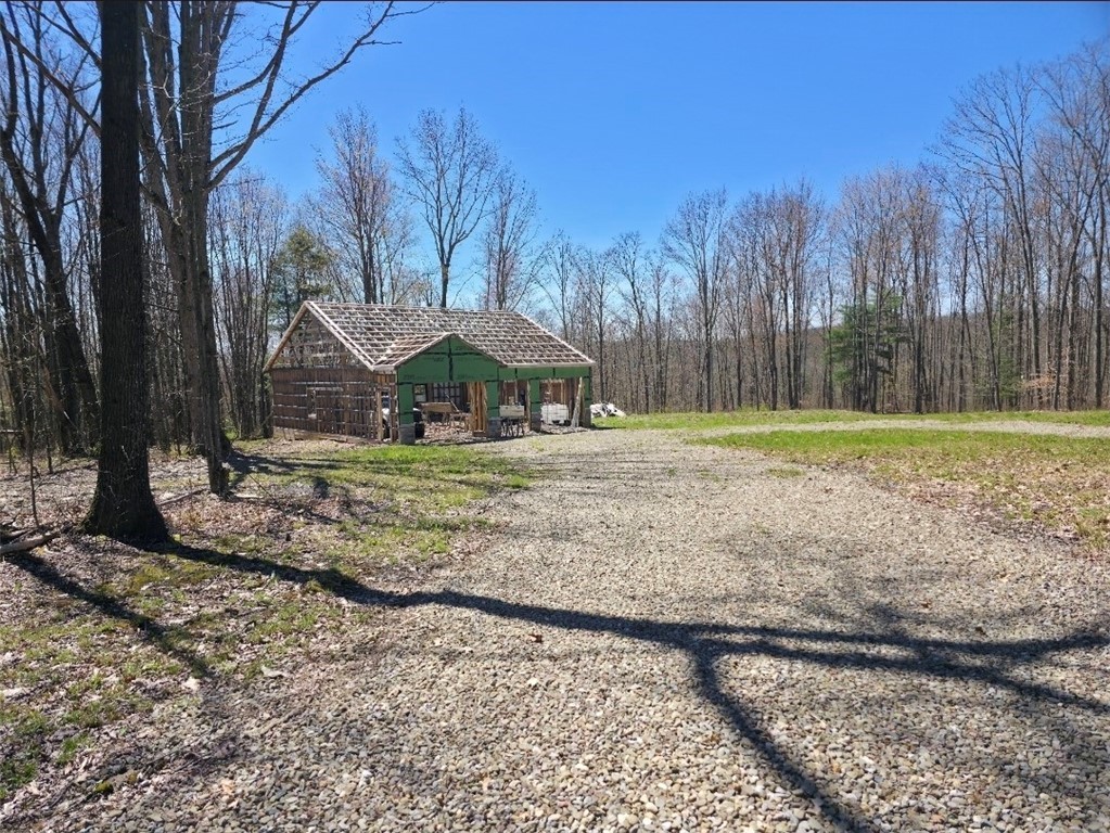 0 Mead Road Pine Valley, NY 14872 - Photo 4 of 15