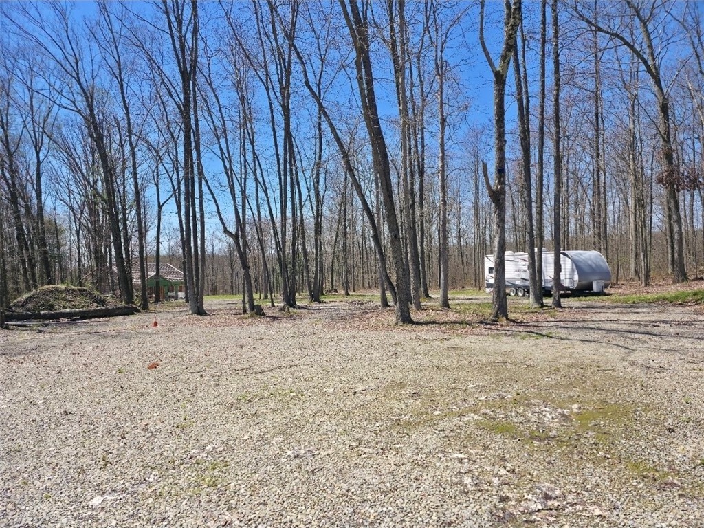 0 Mead Road Pine Valley, NY 14872 - Photo 7 of 15