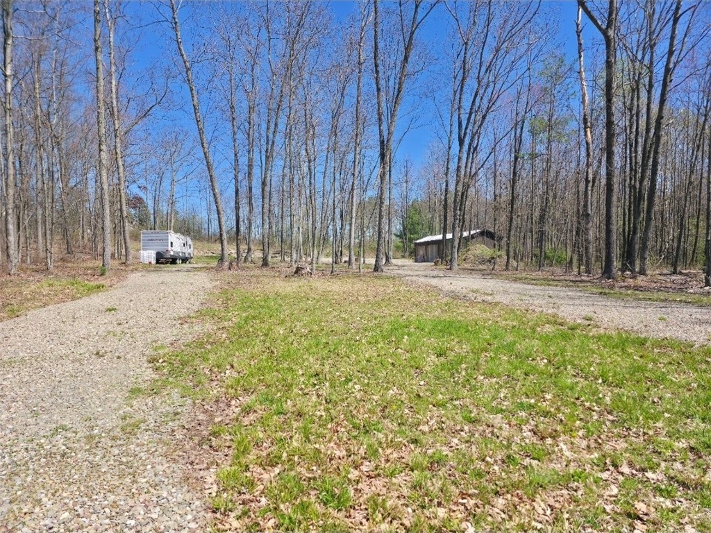 0 Mead Road Pine Valley, NY 14872 - Photo 9 of 15