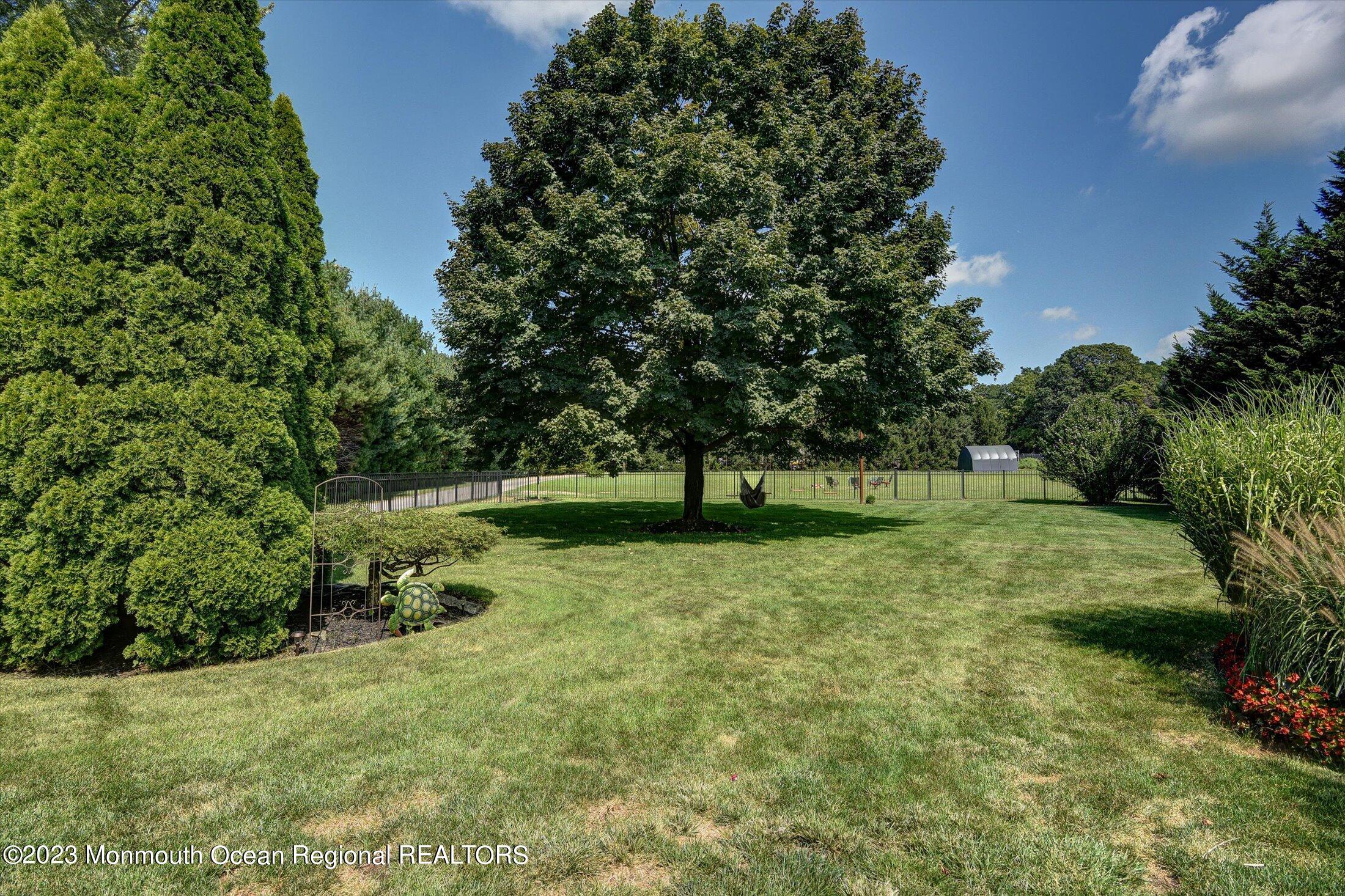 535 Brickyard Road Freehold, NJ 07728 - Photo 47 of 52 a view of a tree in a yard