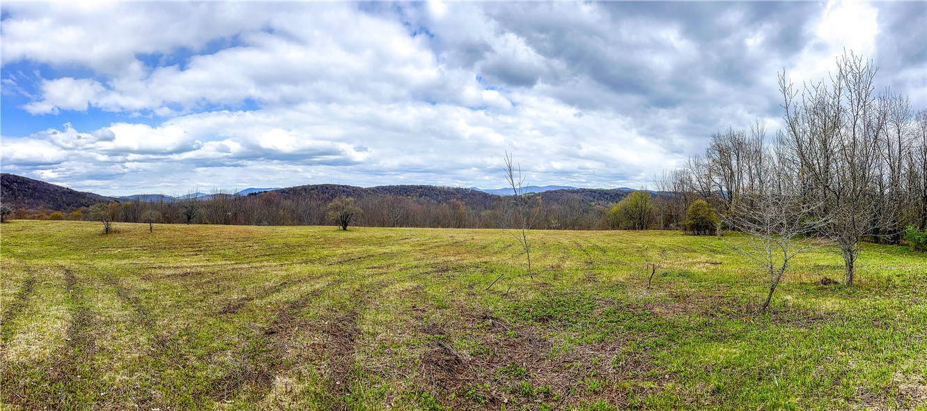 Lot 3 Brownell Road Bloomville, NY 13739 - Photo 28 of 35