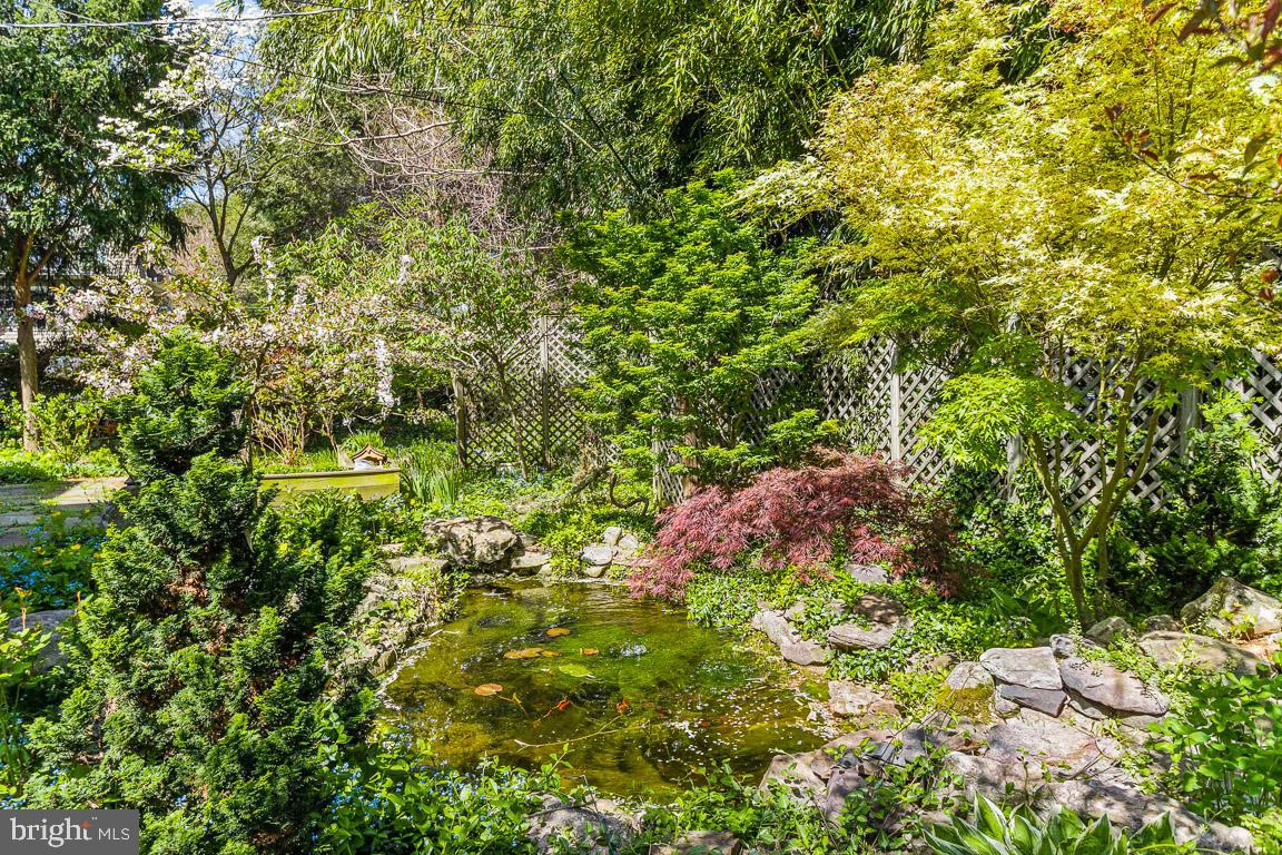 2418 Briarwood Road Baltimore, MD 21209 - Photo 44 of 55 a view of a lush green forest with lots of trees