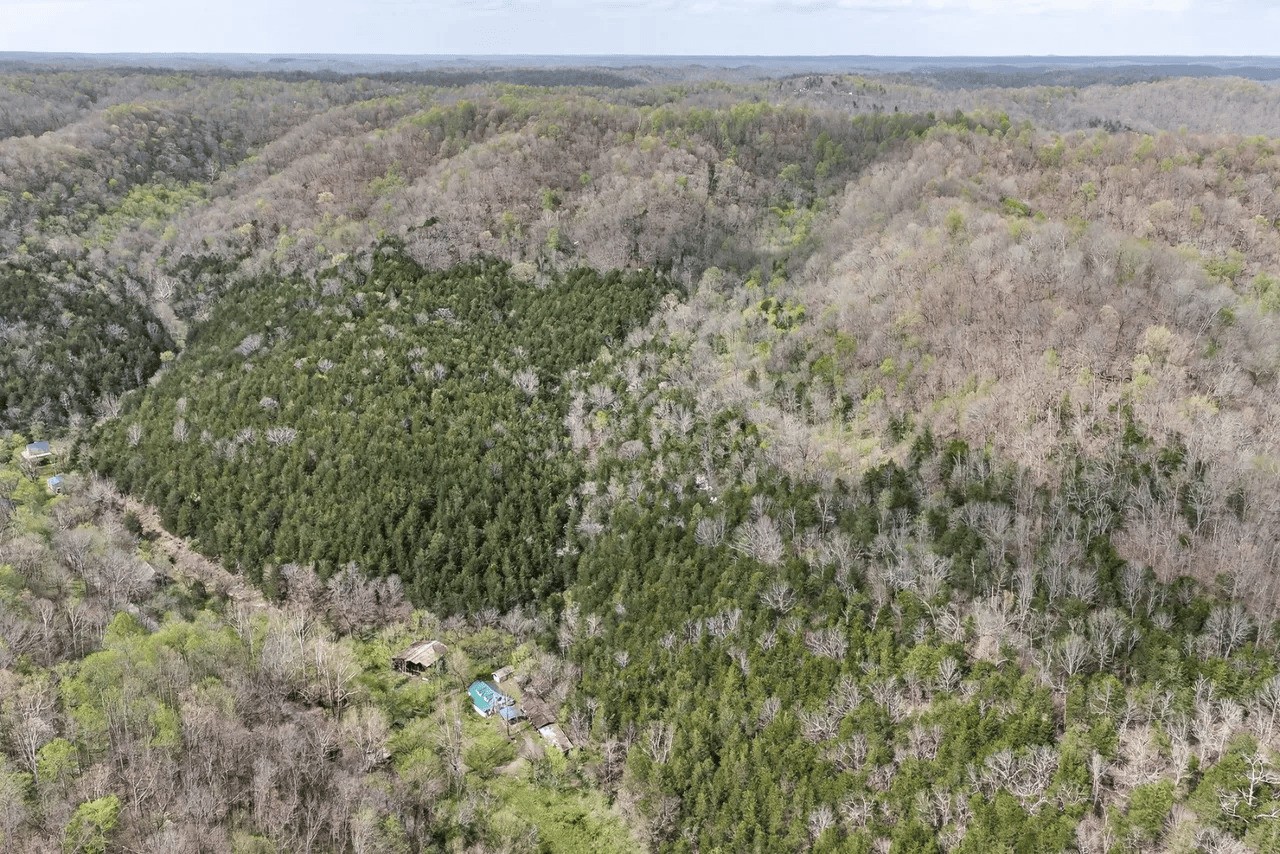 416 Hix Hollow Road Gainesboro, TN 38562 - Photo 3 of 10