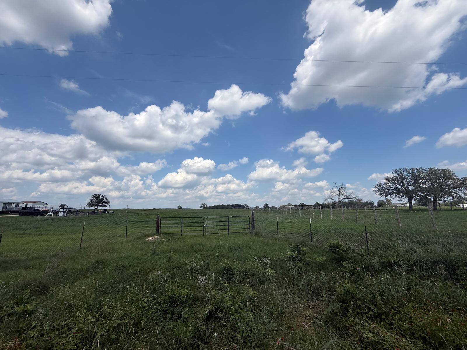 5309 Tenney Creek Road Luling, TX 78648 - Photo 7 of 10 Green pastures await, offering a serene, open setting for a future homestead.