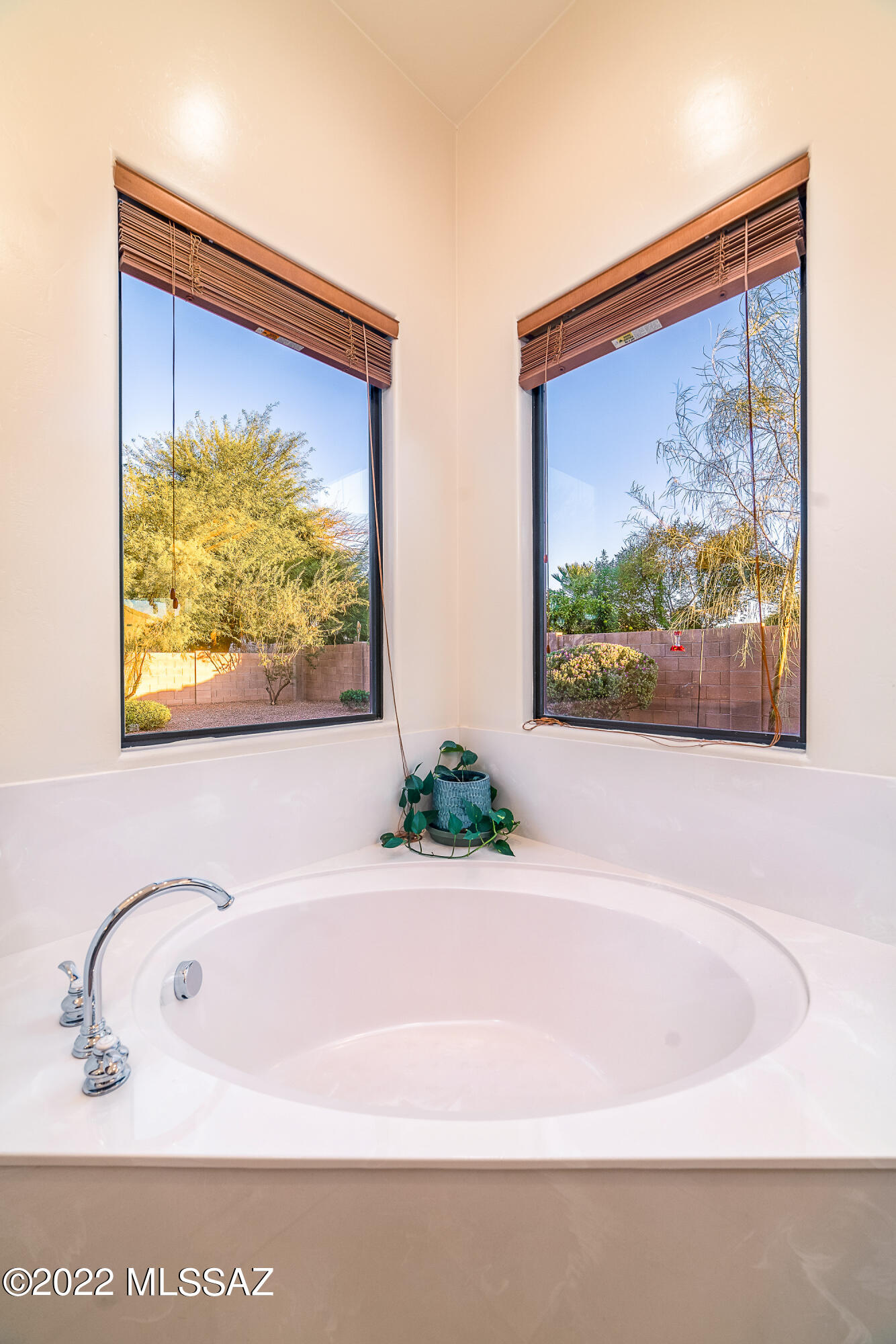 9366 South Via Famero Vail, AZ 85641 - Photo 28 of 50