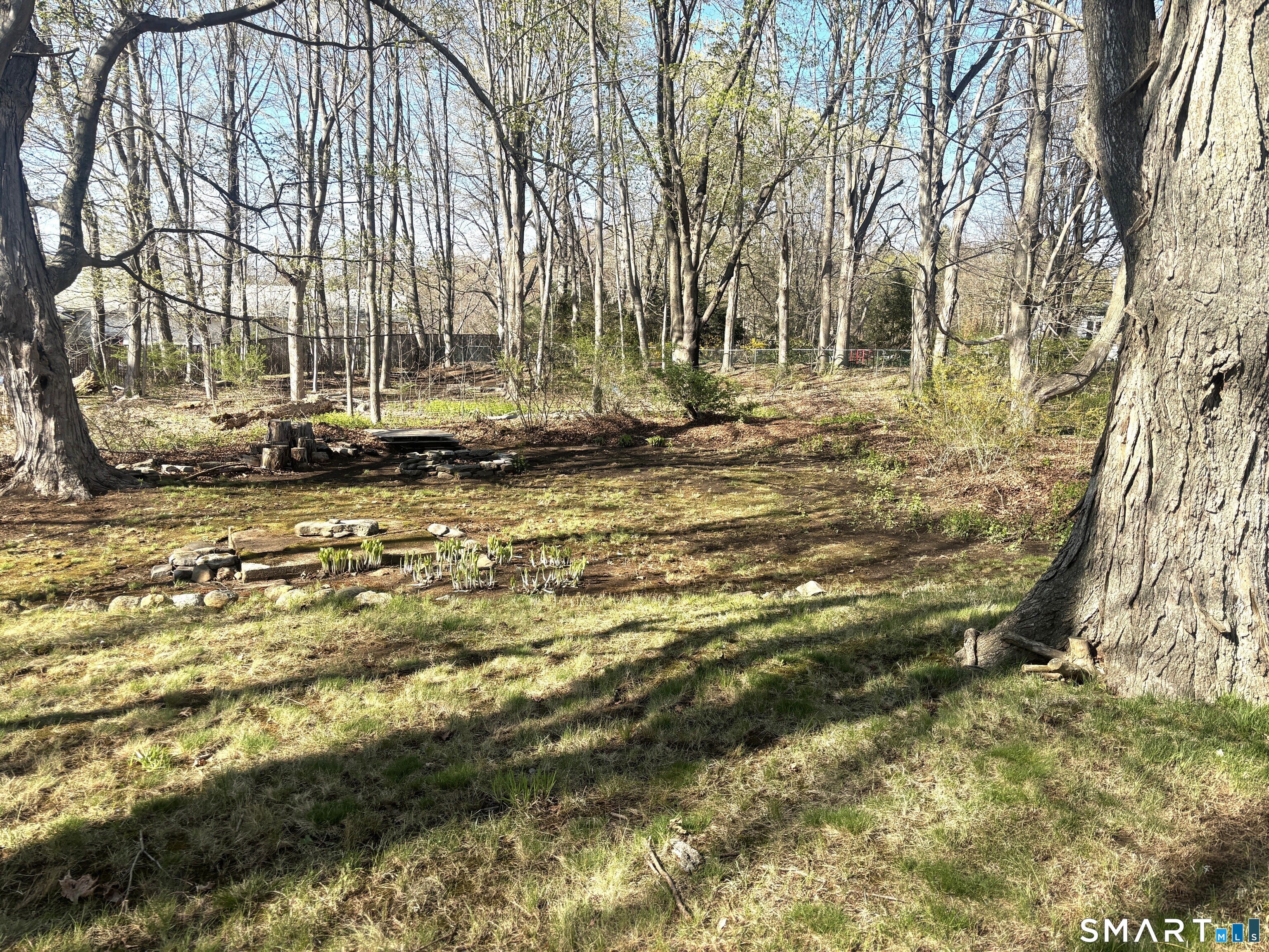 136 Broadway Street Colchester, CT 06415 - Photo 31 of 35 a view of yard with large trees