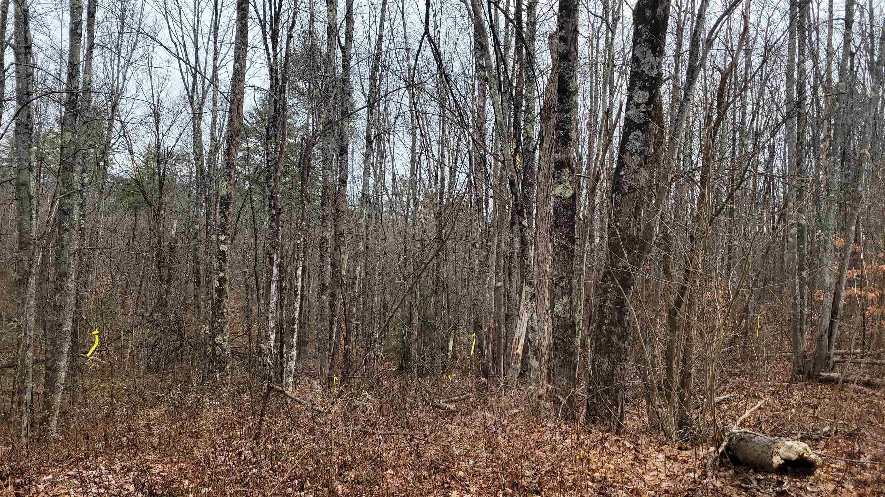 7-1 Upper City Road Pittsfield, NH 03263 - Photo 2 of 2