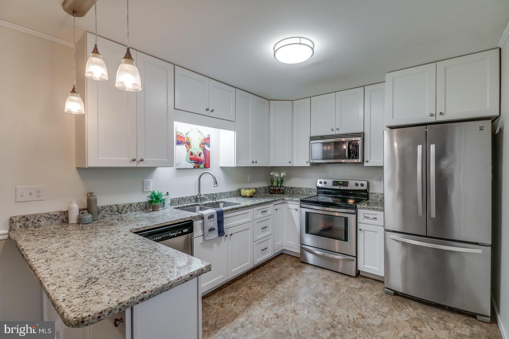 12205 Galena Road Massey, MD 21650 - Photo 10 of 34 Stunning Kitchen!