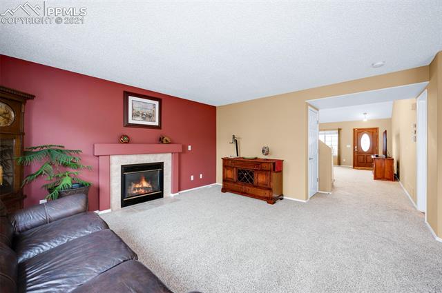 249 Talus Road Monument, CO 80132 - Photo 19 of 40
