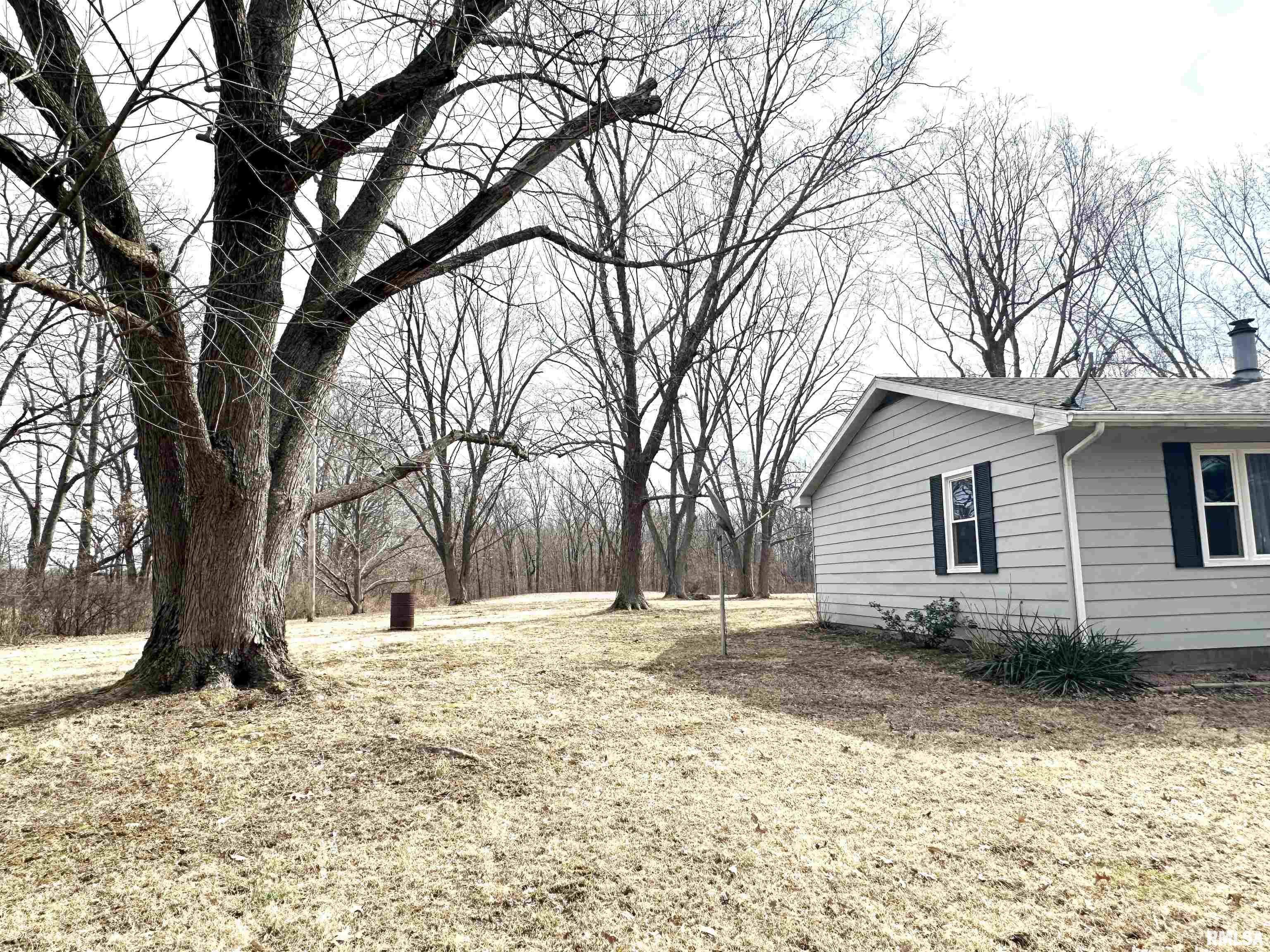 2470 Summer Time Road Kell, IL 62853 - Photo 3 of 17